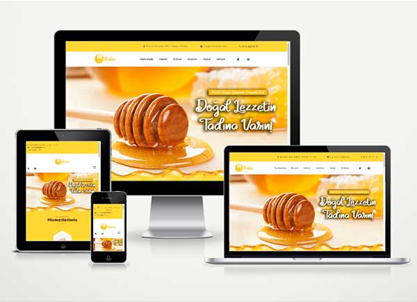 Balcı E-Ticaret Paketi Soft