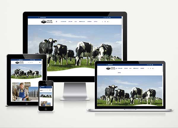 Şarküteri ve Süt Ürünleri E-Ticaret Paketi Soft Milk v5.0